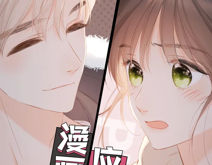 同款猫咪盲盒众筹开启！！！0