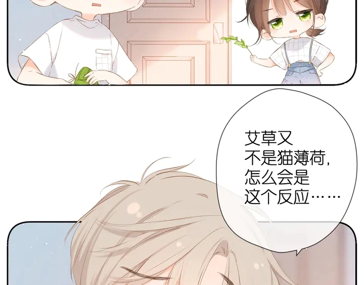 端午小番外4