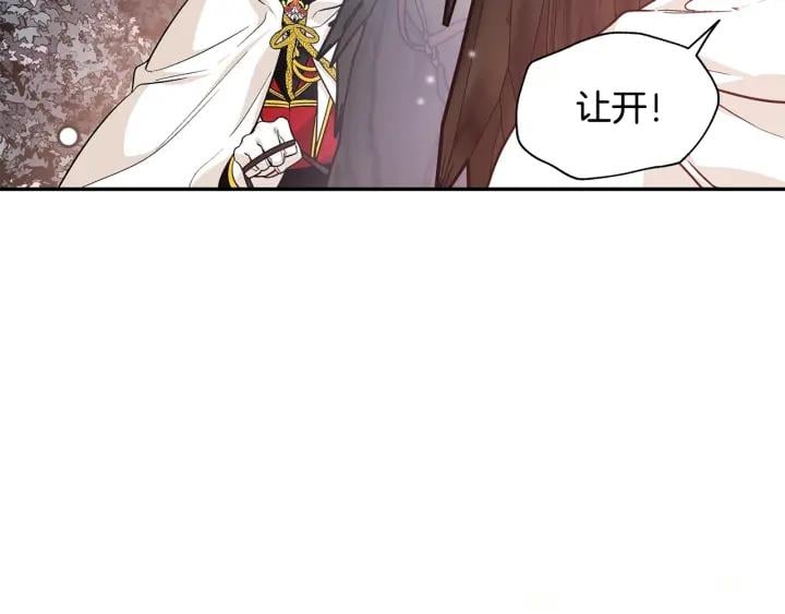 第76话 袭击目标太子妃？159