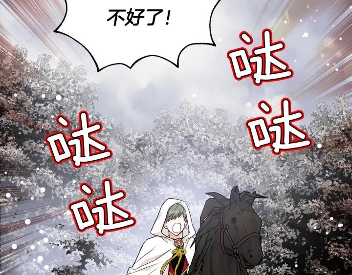 第76话 袭击目标太子妃？38