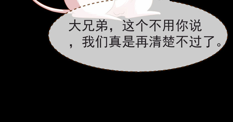 不要叫我师兄84