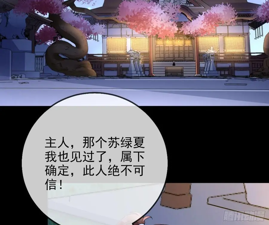 最美的烟花73