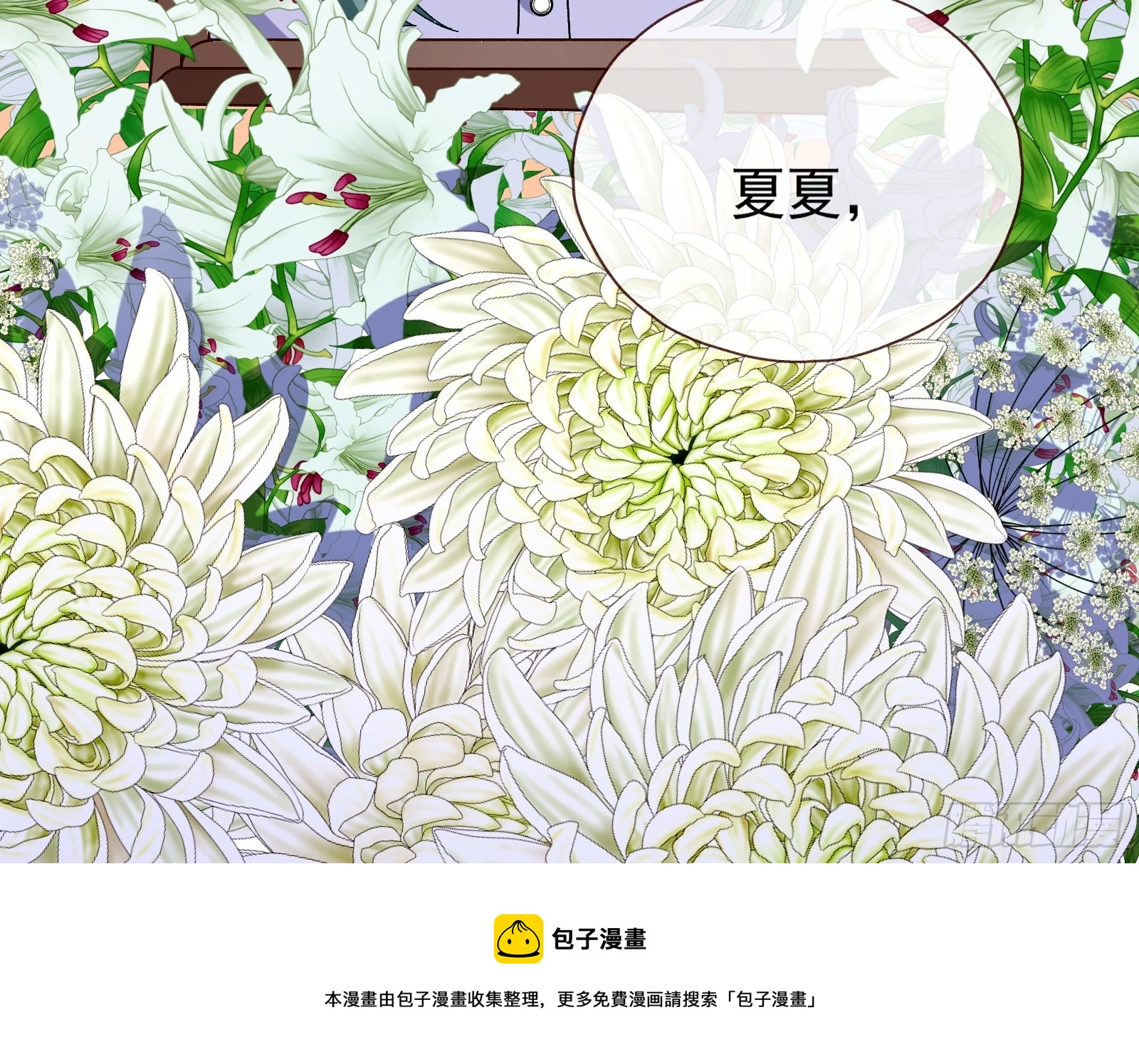 偶像与玩物49