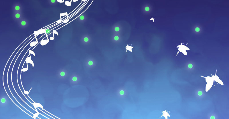生日风波66