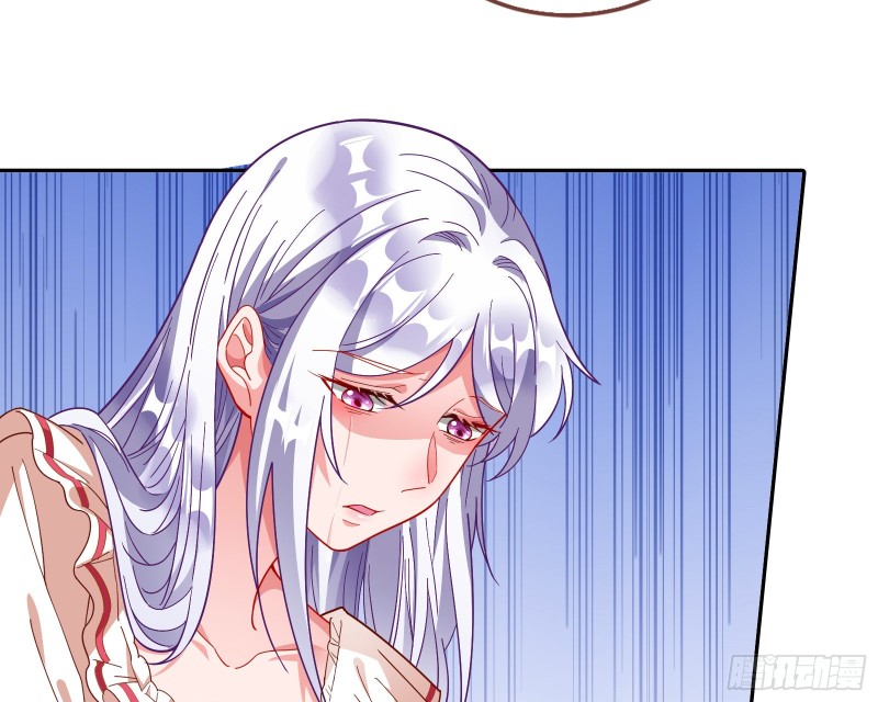 七生七世万里菊花7