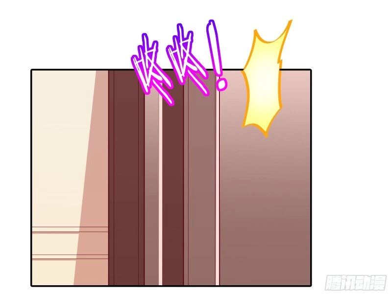 七生七世万里菊花120