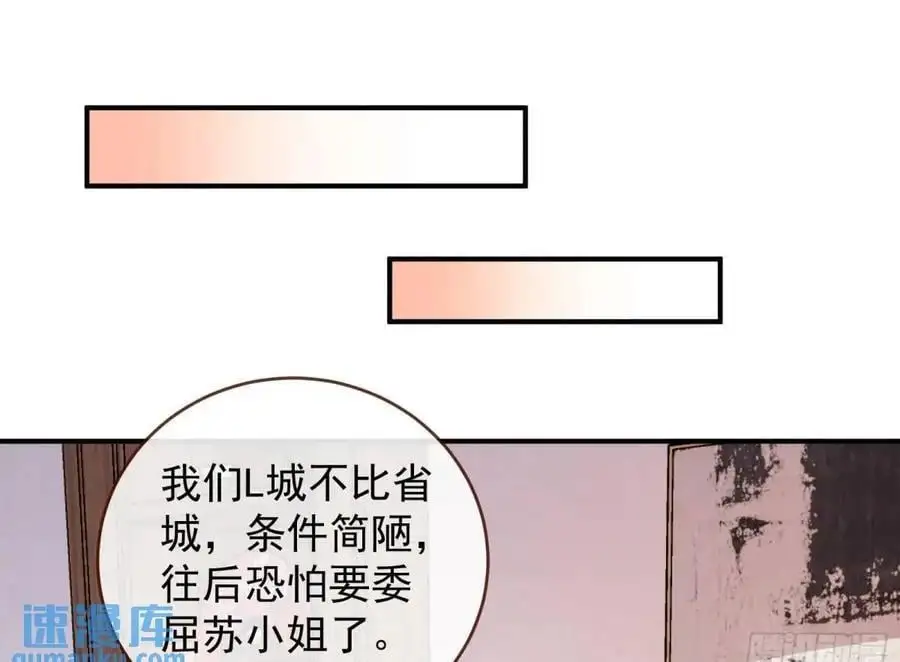 省城来的特派员49