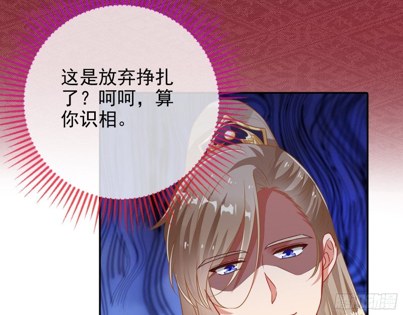 见招拆招16