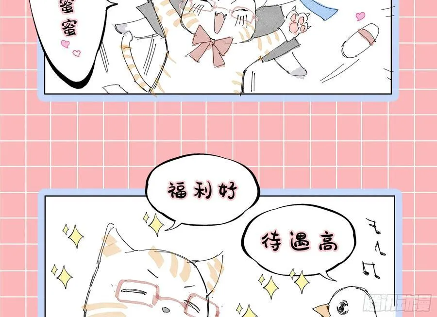 被三的到底是谁111