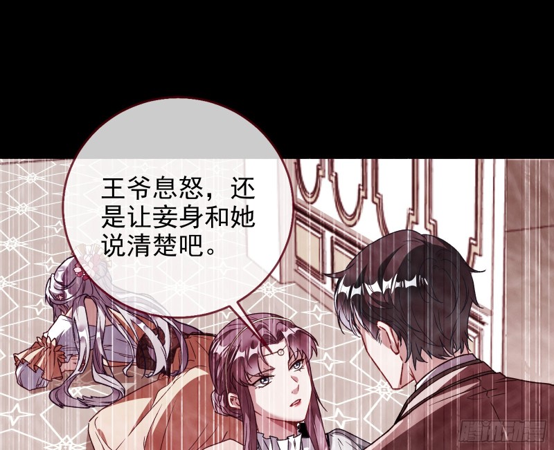 七生七世万里菊花68