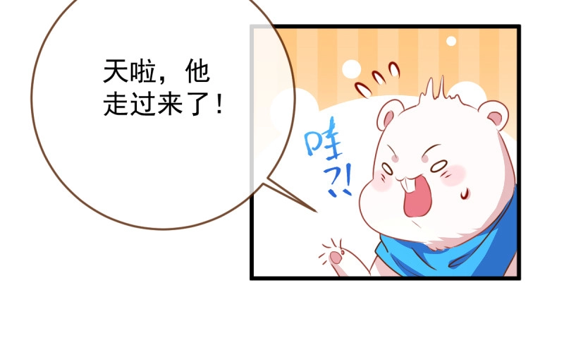 求婚大作战34