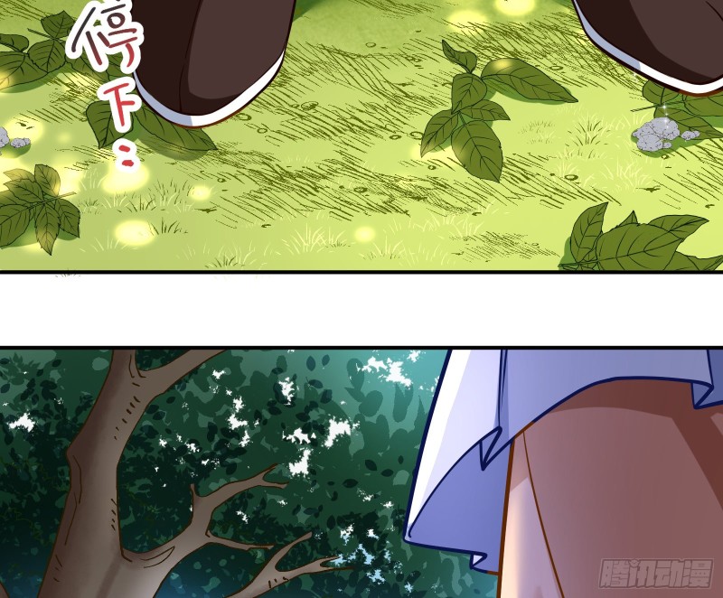病弱土豪18