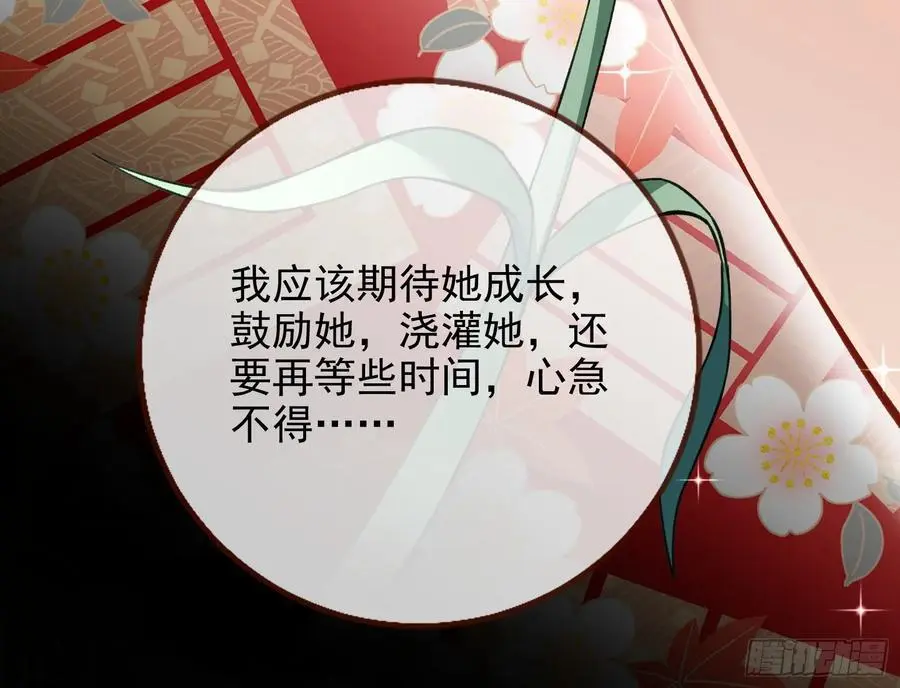 最美的烟花85