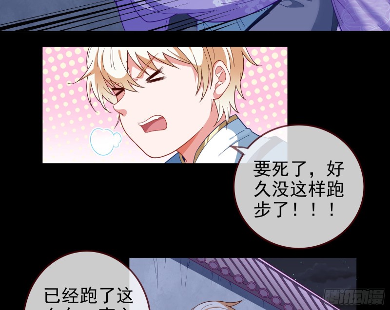 全城搜捕28