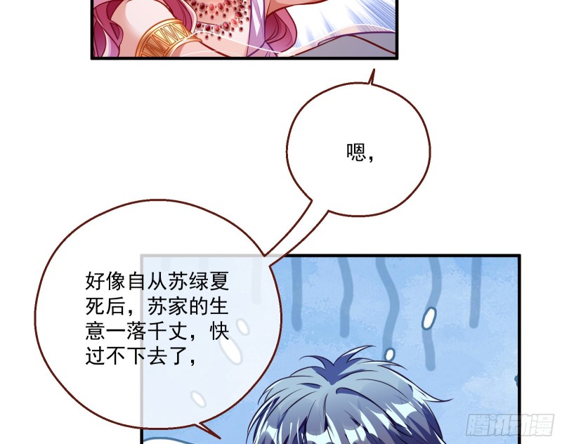 苏绿夏的遗物16