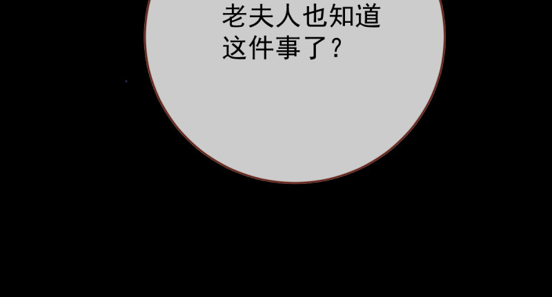 痛快打脸13