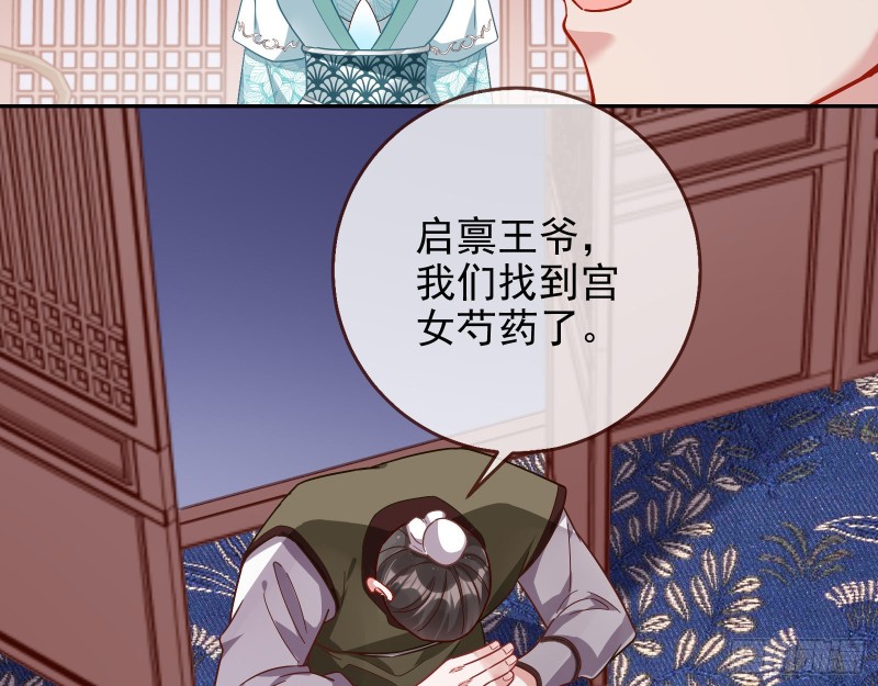 宫女芍药32
