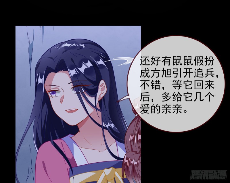 全城搜捕24