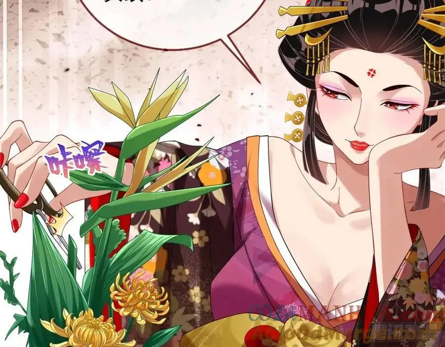 花魁盛世48