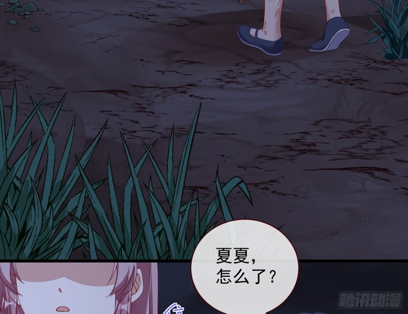 新的一天4
