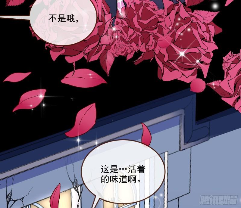 诱饵71