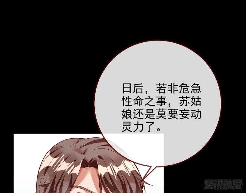 宫女芍药25