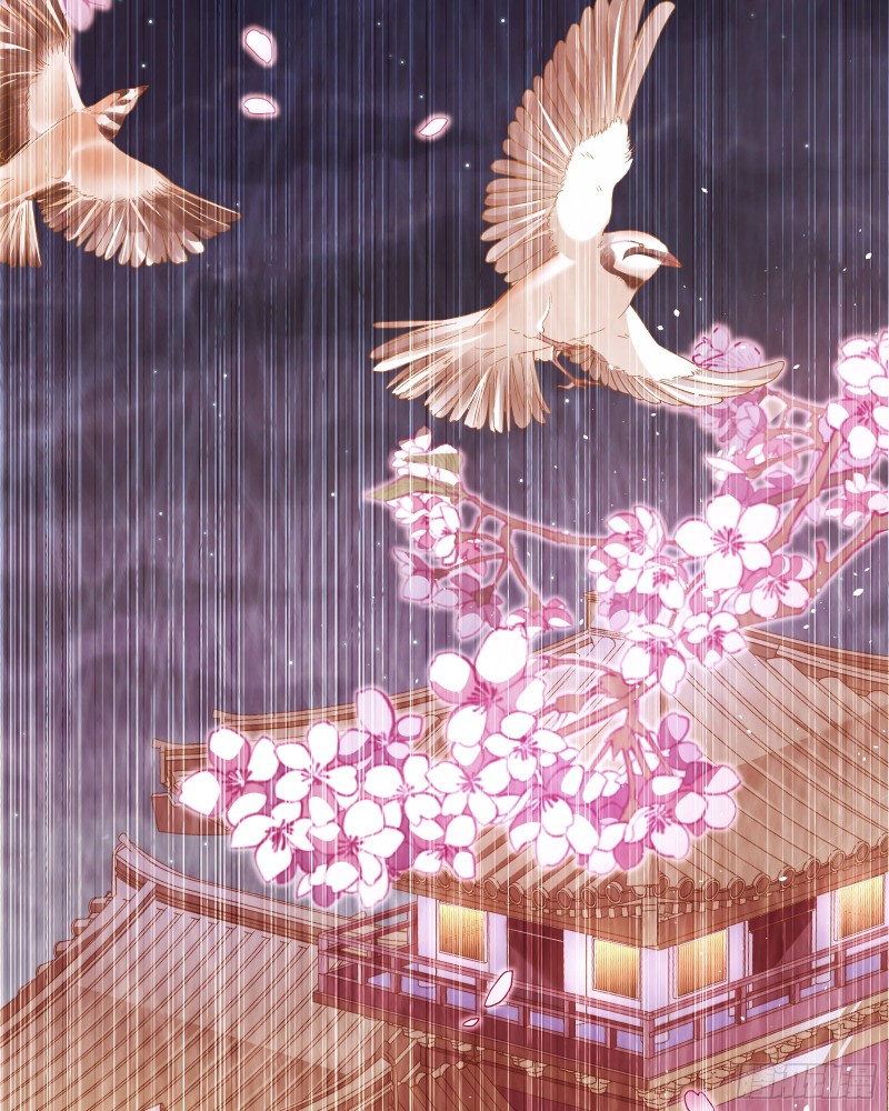 新婚之夜26
