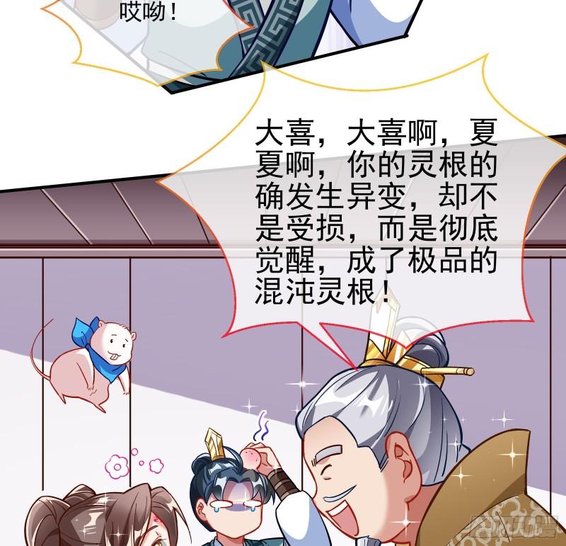 混沌灵根60