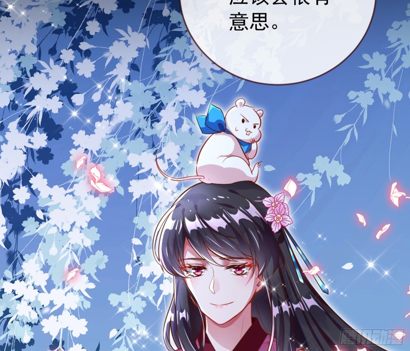 弃车保帅67