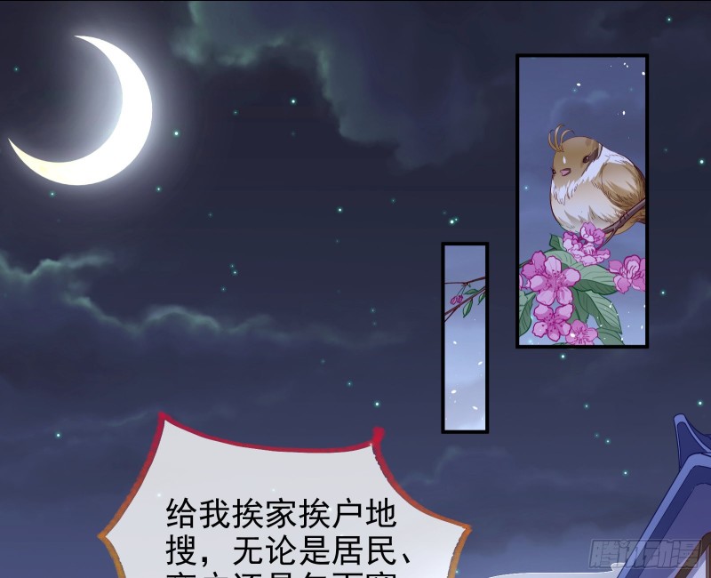 全城搜捕52