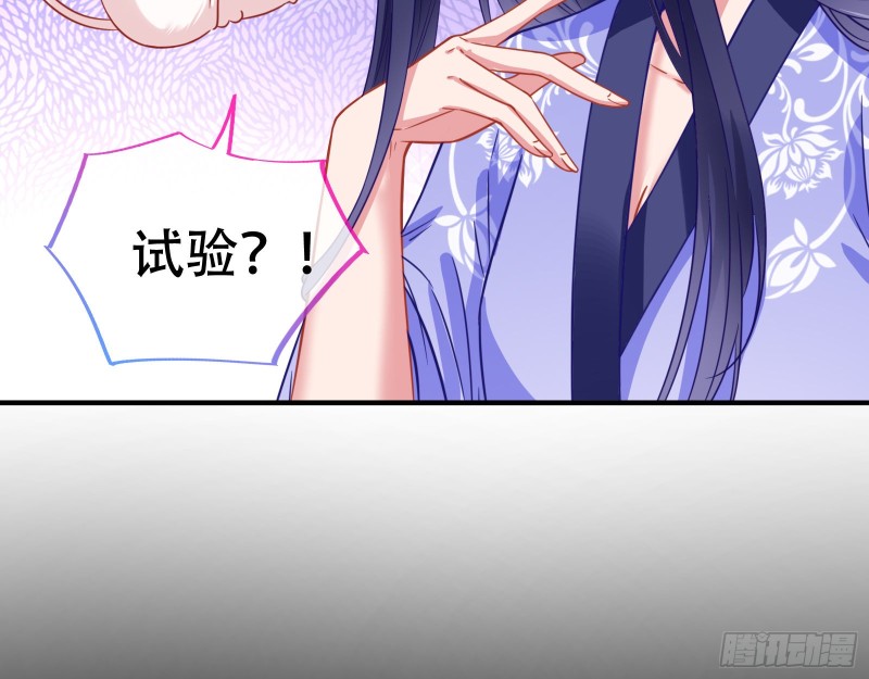 试验11