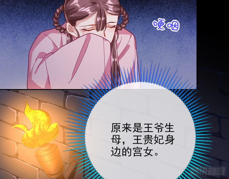 宫女芍药48