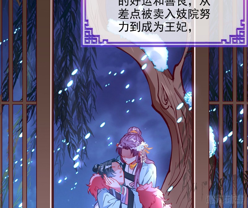 七生七世万里菊花96