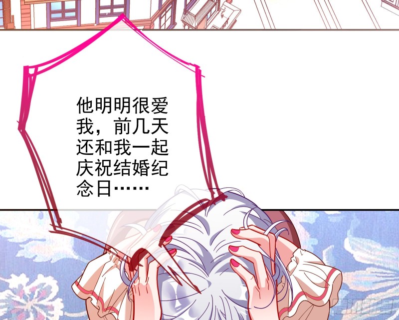 七生七世万里菊花5