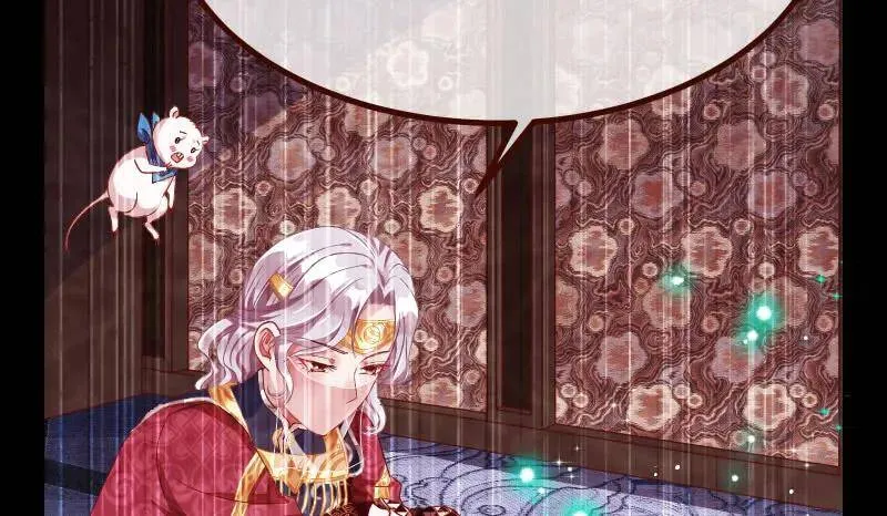 追查113