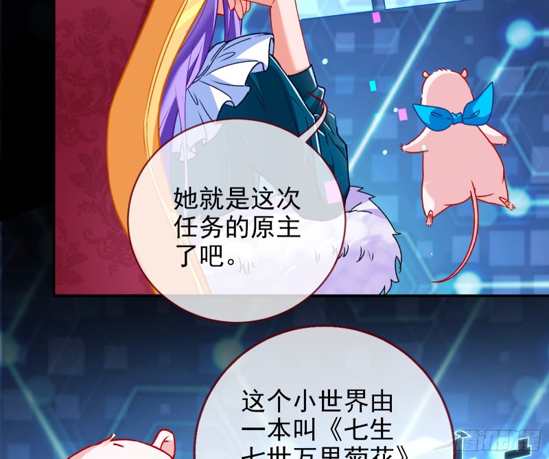 七生七世万里菊花94