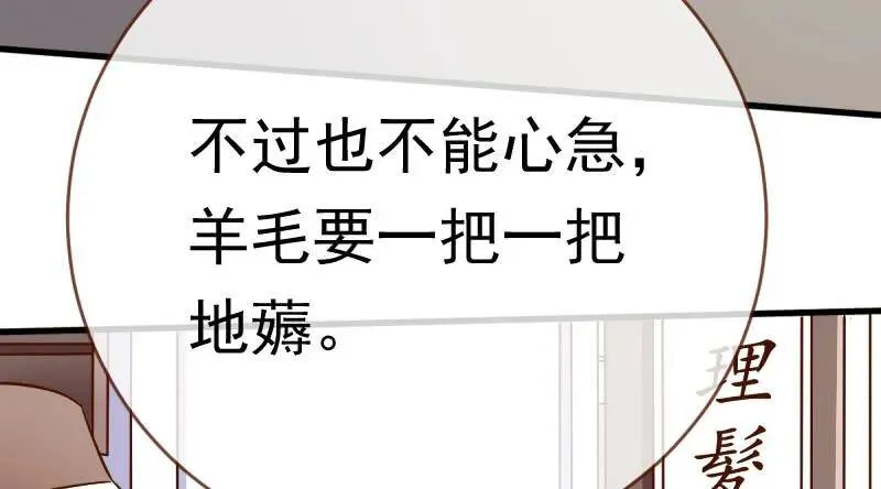 羊毛要一把一把地薅128