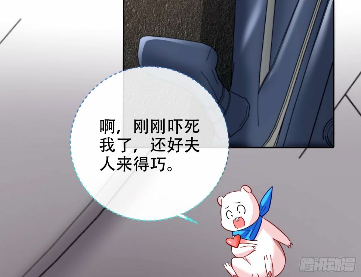 完美搭档78