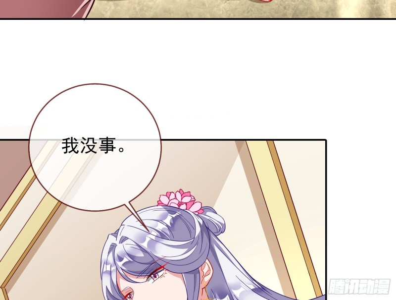 七生七世万里菊花116
