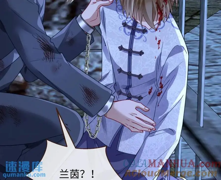 兰因絮果72