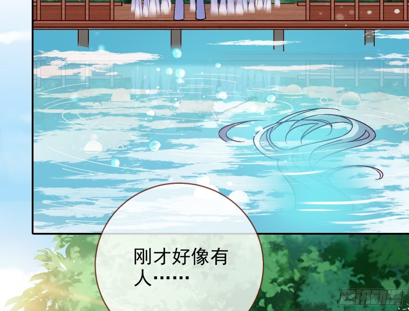 气运之子52