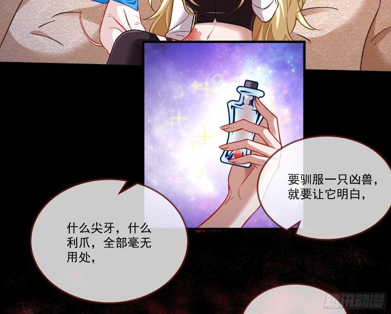 驯兽大师25