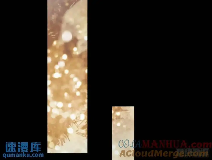价高者得36