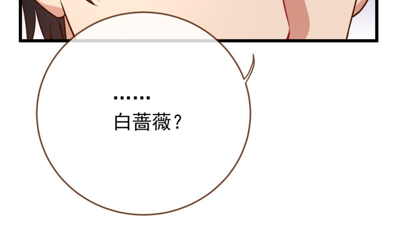 女人，你敢拒绝我？29