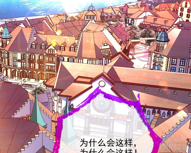 七生七世万里菊花3