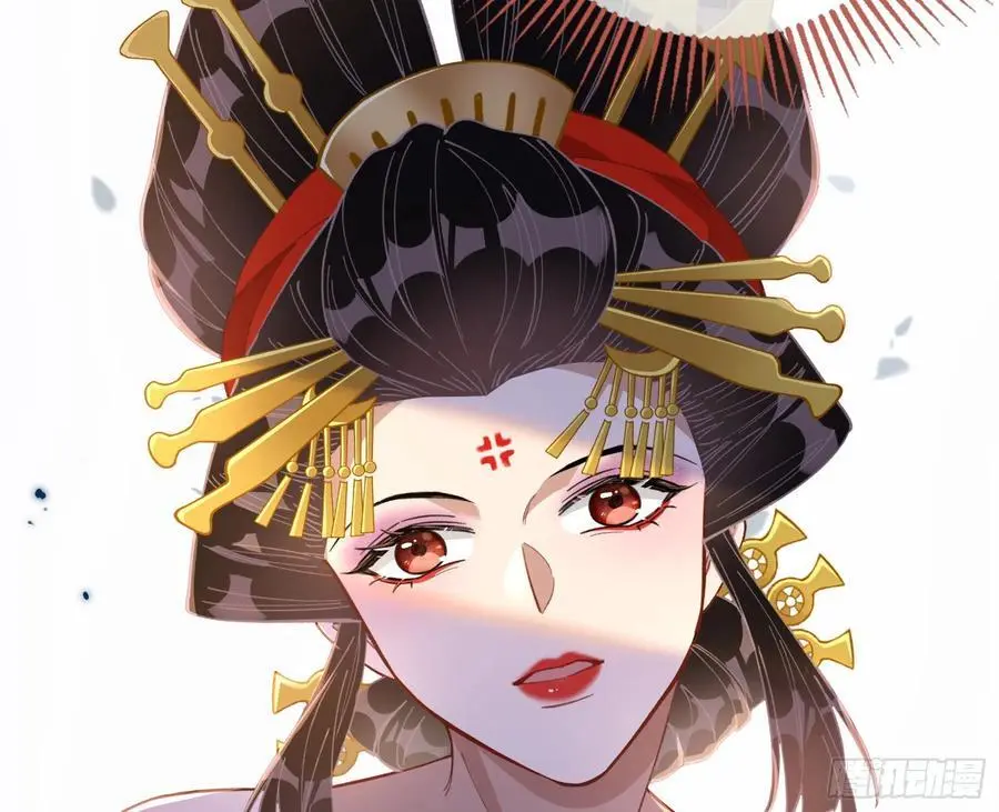 最美的烟花5