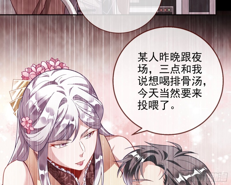 七生七世万里菊花19