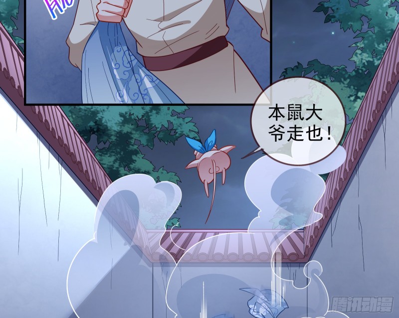 全城搜捕31