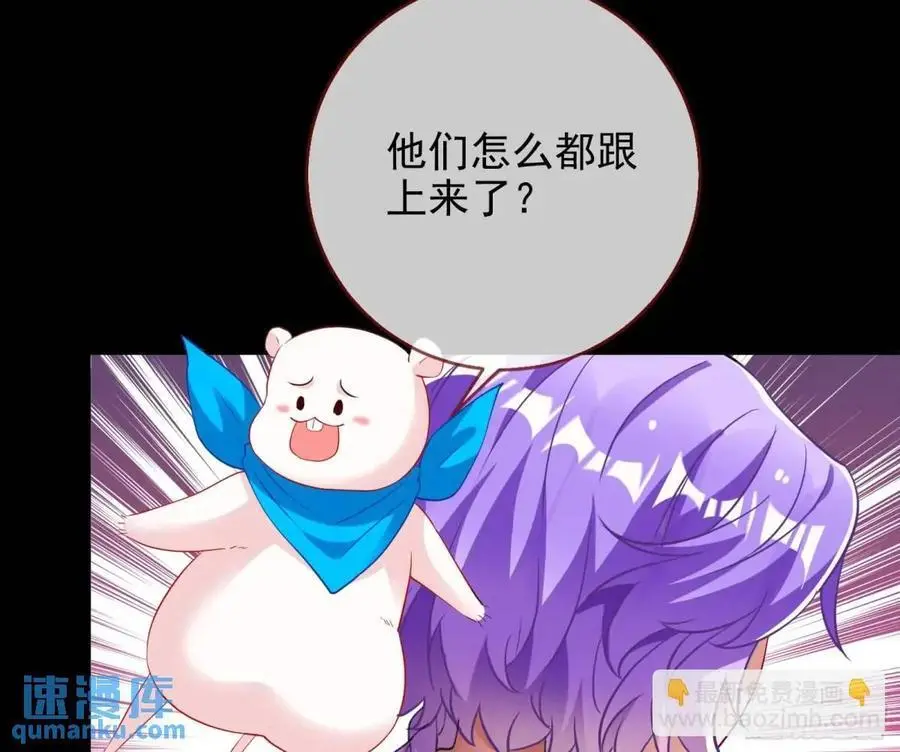 空手套白狼5