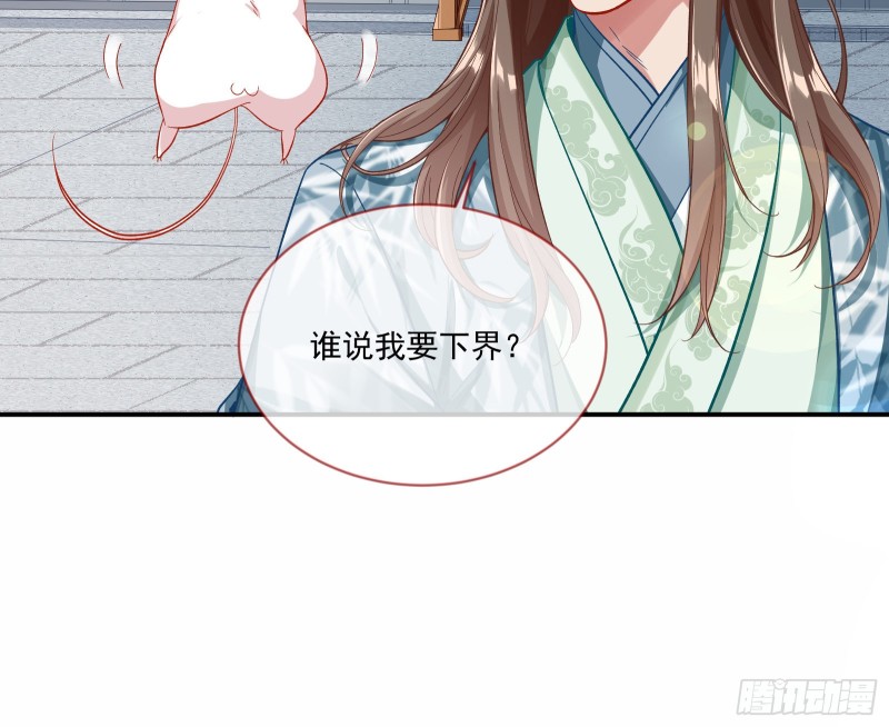 报名风波85